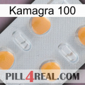 Kamagra 100 24